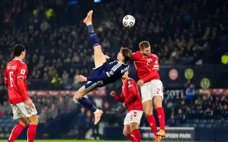 إسكتلندا تصعق الدنمارك وتبلغ كأس العالم لأول مرة منذ 1998