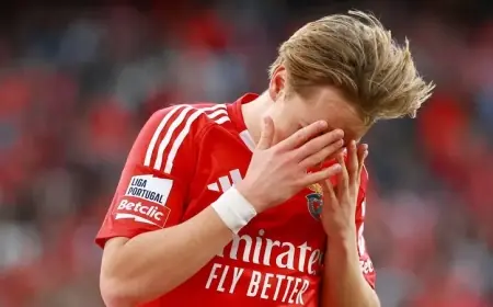 الحكم بسجن لاعب بنفيكا بسبب فيديو جنسي لصبيين