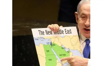 الدولة العربية تحت مجهر فلسطين: تفكيك التحليل المحافظ ووهم "الإنجازات الاستراتيجية"