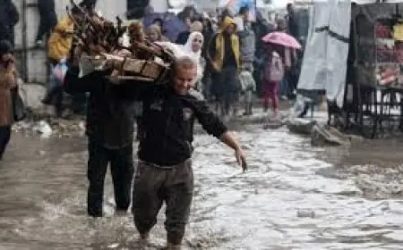 الأمم المتحدة: العائلات الفلسطينية النازحة بغزة معرضة لخطر الفيضانات
