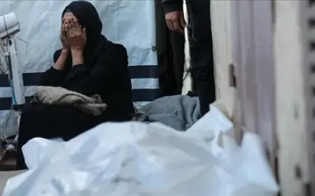 في يوم مناهضة العنف ضد المرأة.. الاحتلال قتل 33 ألف سيدة وطفلة خلال عامين