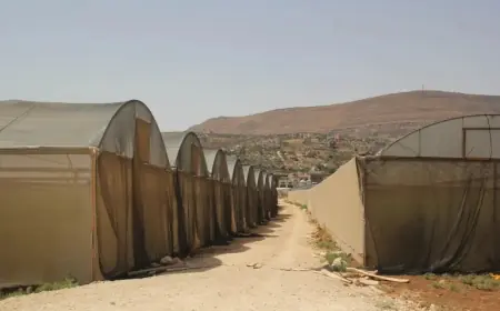 الاحتلال يطالب بإزالة جميع البيوت البلاستيكية القريبة من الجدار في الشعراوية