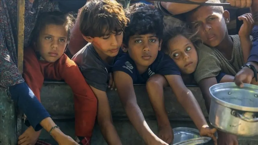 إسرائيل تهندس تجويع غزة.. رفوف عامرة بكماليات وخاوية من الأساسيات