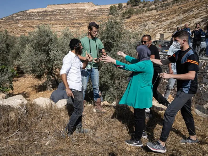 الأمم المتحدة: هجمات المستوطنين الإسرائيليين تسجل مستوى قياسيا