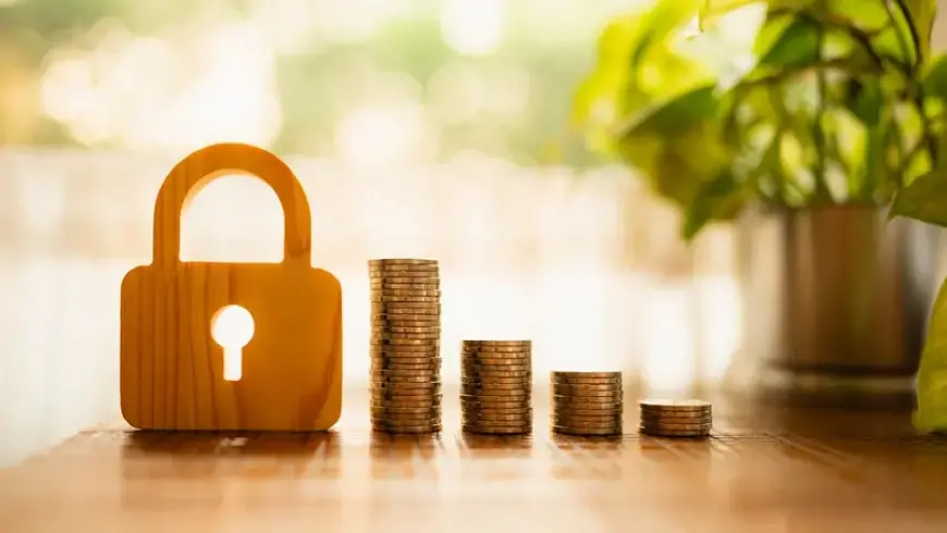 قصة نجاح بلا رواتب ضخمة.. زوجان يجمعان مليون دولار قبل الثلاثين!