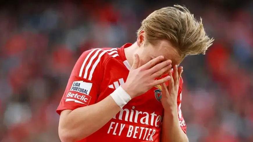 الحكم بسجن لاعب بنفيكا بسبب فيديو جنسي لصبيين