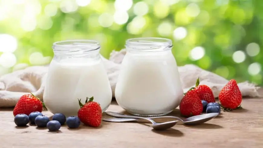 لصحة الأمعاء.. أفضل وقت لتناول الزبادي