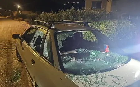 محافظ طولكرم اللواء د. كميل : اعتداءات المستوطنين على مركبات المواطنين في بيت ليد إرهاب منظم