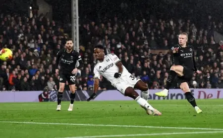 مانشستر سيتي ينجو من انتفاضة فولهام