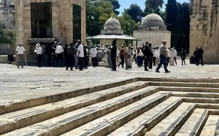 960 مستعمرا يقتحمون الأقصى