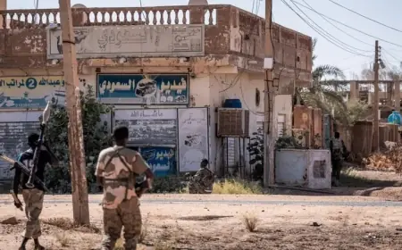 مصادر العربية: تحطم طائرة شحن للجيش السوداني غرب بورتسودان