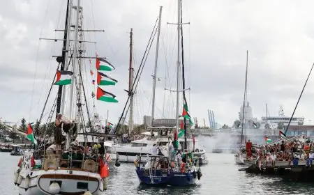 سويسرا تطالب نشطاء شاركوا في قوافل غزة بتكاليف إعادتهم