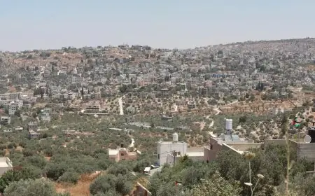 تحقيق يكشف: توسع استيطاني غير مسبوق في الضفة الغربية