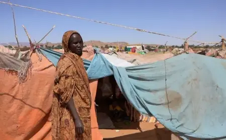 "نيويورك تايمز": المجاعة تتفشى بالفاشر والدعم السريع تمرر مساعدات هزيلة