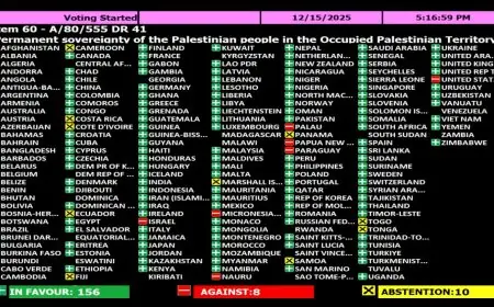 الجمعية العامة للأمم المتحدة تعتمد قرارًا يؤكد السيادة الدائمة للشعب الفلسطيني على موارده الطبيعية