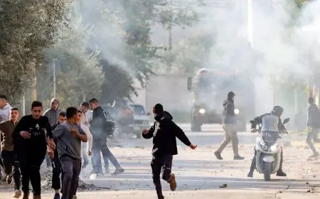 فرار مستوطنين إسرائيليين على إثر مواجهة عنيفة مع الأهالي شرق طولكرم