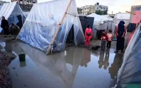 البرد الذي يقطع العظم: أربعينية غزة بين جليد السماء وصبر الأرض