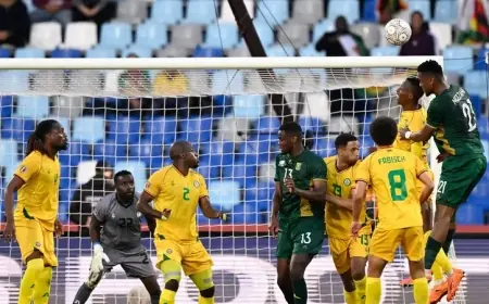 كأس إفريقيا.. جنوب إفريقيا تتأهل بعد فوز مثير على زيمبابوي