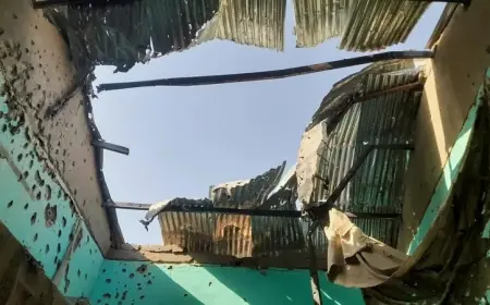 "مسرح جريمة".. منسقة أممية تروي مشاهد صادمة من الفاشر