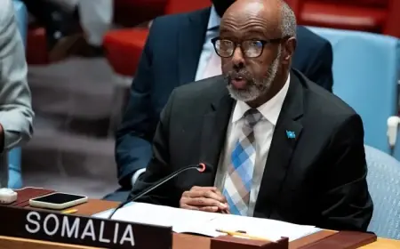 مندوب الصومال في مجلس الأمن يحذر من عمل استفزازي يزعزع المنطقة