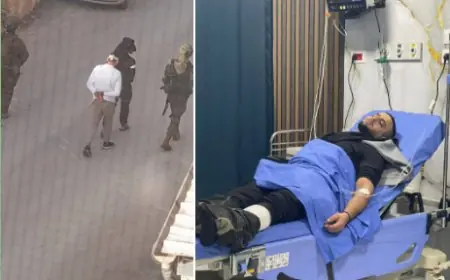 الاحتلال يعتدي على 4 مواطنين ويحقق ميدانياً مع العشرات في جبع جنوب جنين