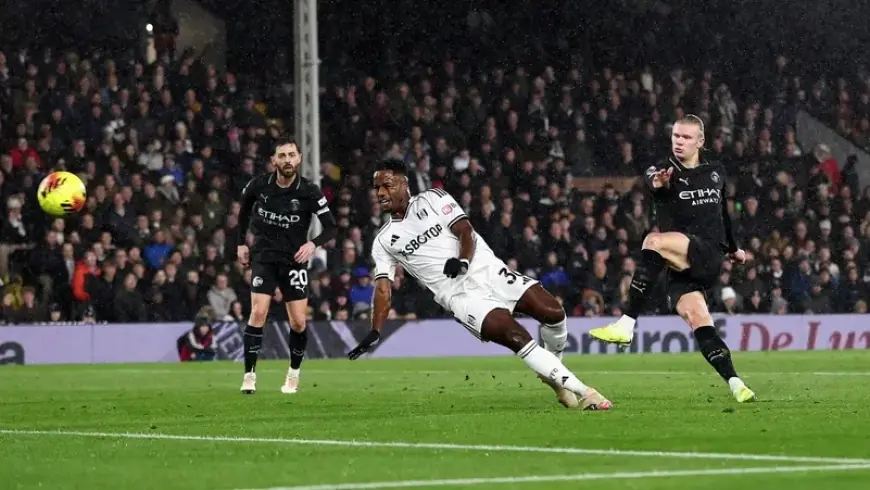 مانشستر سيتي ينجو من انتفاضة فولهام