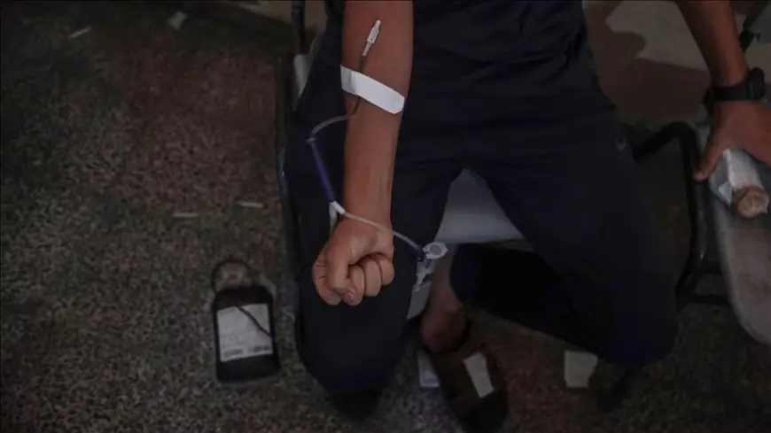 حملة "دمنا واحد".. نقل 4 آلاف وحدة دم من الضفة إلى غزة