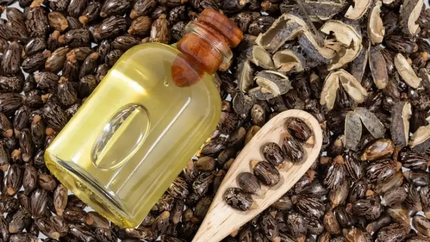 "استخدمته كليوباترا".. فوائد صحية لزيت الخروع