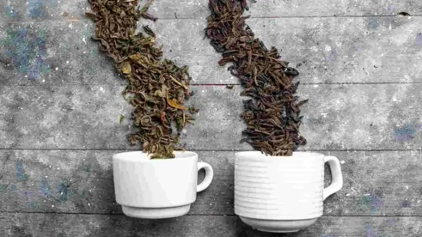 الشاي الأخضر أم الأسود.. أيهما أفضل لتعزيز نمو الشعر؟