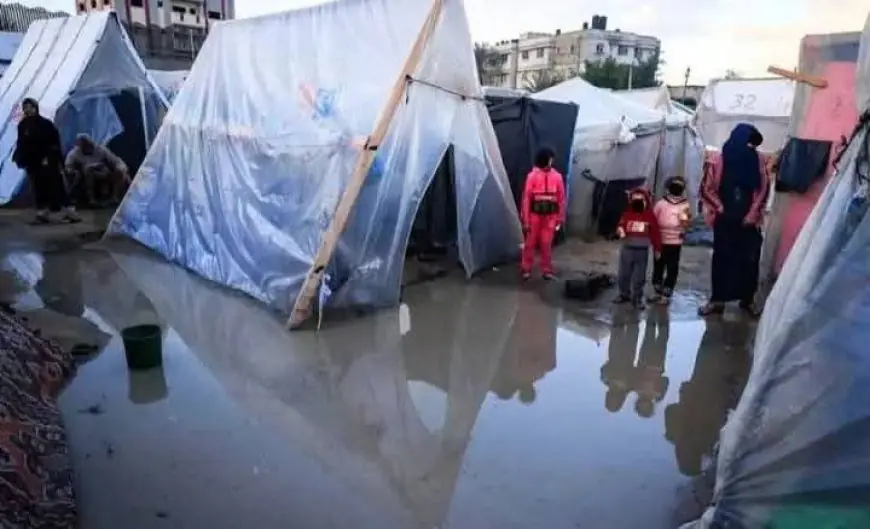 البرد الذي يقطع العظم: أربعينية غزة بين جليد السماء وصبر الأرض