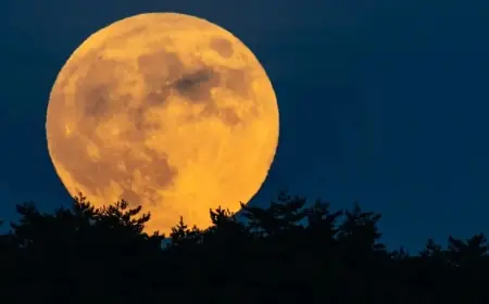 يعانق المشتري بمشهد استثنائي.. سر القمر العملاق بسماء مصر