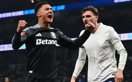 توتنهام يودع كأس إنجلترا على ملعبه أمام أستون فيلا