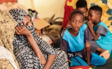 تحذير أممي: 21 مليون سوداني يعانون نقصا حادا في الغذاء