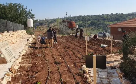 للحفاظ على محمية أم التوت الطبيعية ورفع الوعي البيئي