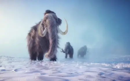 بعد 70 عاماً في المتحف.. عظام "ماموث" تكشف مفاجأة غير متوقعة
