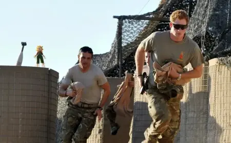 ماركل تدعم اعتراض هاري على تصريحات ترامب بشأن الناتو