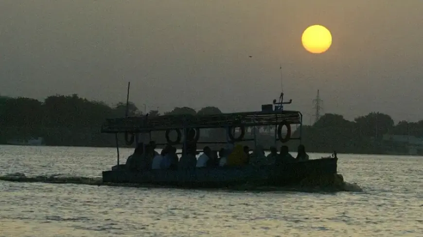 كارثة غامضة تهز السودان.. آلاف الفئران النافقة تغزو نهر عطبرة