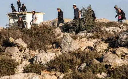 مستعمرون يعرقلون عمل الطواقم التعليمية في مدرسة المالح بالأغوار الشمالية