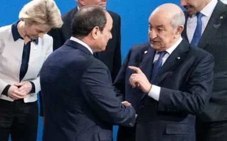 السيسي: التضامن المصري الجزائري ضمانة لاستقرار المنطقة