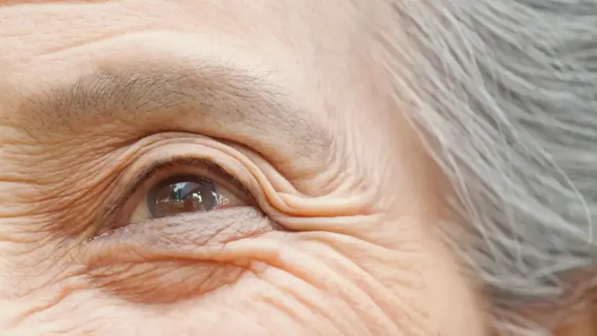 دراسة جديدة تفك لغز "العمر البيولوجي"