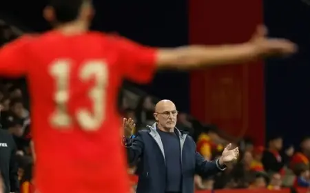 مدرب إسبانيا ورئيس الاتحاد يهاجمان الجماهير بعد "هتافات عنصرية" أمام مصر