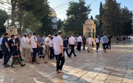 مستعمرون يؤدون طقوسا تلمودية عند باب الساهرة