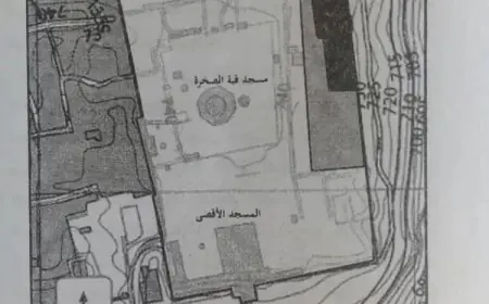 مخطّط التقسيم الزماني والمكاني للمسجد الأقصى: مشروع تغيير الوضع القائم وتداعياته السياسية والقانونية