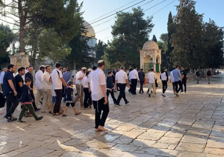 مستعمرون يؤدون طقوسا تلمودية عند باب الساهرة