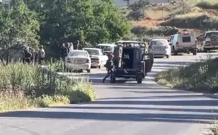 مستعمرون مسلحون يهاجمون سنجل وجلجليا ويسرقون أغناما