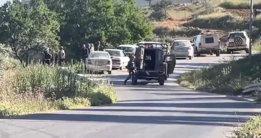 مستعمرون مسلحون يهاجمون سنجل وجلجليا ويسرقون أغناما
