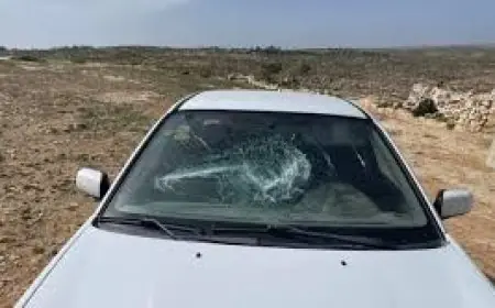 مستعمرون يهاجمون مركبات المواطنين جنوب بيت لحم