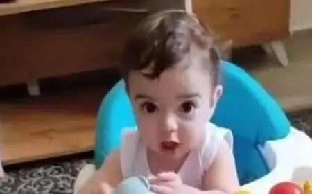 الطفل الشهيد سام ابو هيكل..سبعة أشهر من الضوء