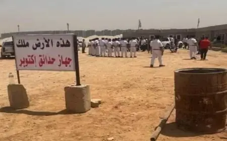 الحكومة المصرية تعلن انتهاء أزمة نادي الزمالك بتوجيهات رئاسية