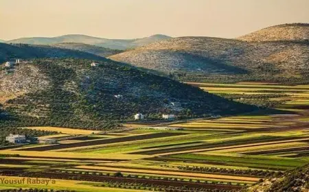 جنين... مدينة لا تشبه سواها